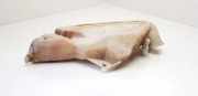 Fensterwaschtank PEUGEOT 206 Hatchback (2A/C) 1.4 i 9628747480