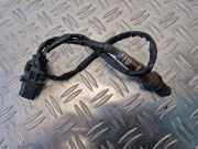 Lambdasonde VW Passat B6 (3C2) 03L906262B