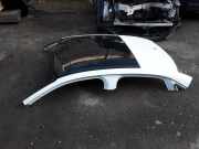 Dach mit Sonnendachausschnitt Audi A3 (8V) 8V5817109