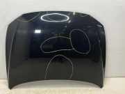 Motorhaube VW PASSAT Variant B8 (3G5) 2.0 TDI 4motion 3G0823031C