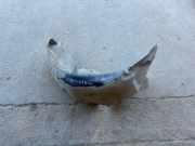 Innenkotflügel hinten links OPEL CORSA E 1.3 CDTI