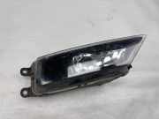 Nebelscheinwerfer links VW TIGUAN (AD1) 2.0 TDI 5NA941700B