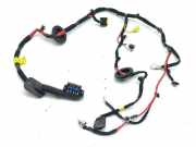 Kabel Tür Hyundai Ioniq (AE) 91615