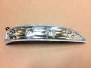 Blinker am Türspiegel vorn rechts