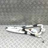 Dach SRS rechts TESLA MODEL 3 EV AWD 1077828-CN-E