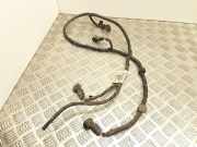 Einparkhilfe Ford Focus IV (HN) F1ET15K868BDE