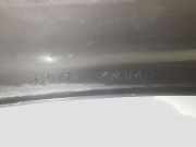 Front Bumper Center Moulding NISSAN ALMERA II Hatchback (N16) 2.2 Di 620744M540