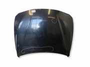 Motorhaube BMW 3 Touring (F31) 330 i