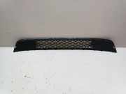 Gitter vorne unten BMW X3 (F25) xDrive 30 d 10503411