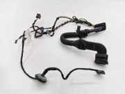 Türverkabelung hinten links MERCEDES-BENZ M (W164) ML 350 4-matic (164.186) A1645406006