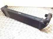 Ladeluftkühler Renault Laguna III (T) 8200292773