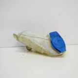 Fensterwaschtank AUDI A4 Avant (8E5, B6) 2.5 TDI 8E0955453K