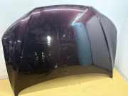 Motorhaube Hyundai Santa Fe II (CM)