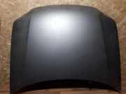 Motorhaube VW Passat B5.5 Variant (3B6)