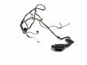 Türverkabelung hinten links BMW X3 (F25) xDrive 28 i 9243667