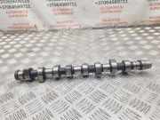 Nockenwelle SEAT TOLEDO II (1M2) 1.9 TDI 004
