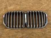 Vorderer oberer Gitter BMW X7 (G07) xDrive40d M Sport K050786