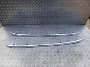 Dachgriff hinten links