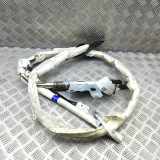 SRS Modul Dach links AUDI Q7 (4L) 3.0 TDI quattro 4L0880741A