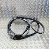 Türgummi links vorne Nissan NV400 Pritsche/Fahrgestell (X62, X62B) 7680200Q0J