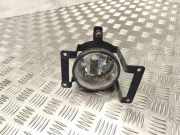 Nebelscheinwerfer links HYUNDAI TUCSON (JM) 2.7 4WD 1011503