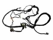 Kabelbaum NISSAN QASHQAI / QASHQAI +2 I (J10, JJ10) 2.0 dCi 24260JD01C