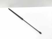 Heckklappe Gasdruckfeder rechts