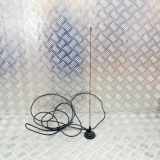 Antenne TOYOTA AURIS (_E18_) 1.8 Hybrid (ZWE186_) N/A