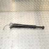 Stoßdämpfer hinten links MASERATI QUATTROPORTE VI 3.8 GT S 6700054570 06700054570