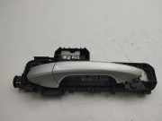 Türaußengriff hinten links