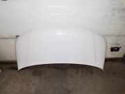 Motorhaube VW TRANSPORTER V (T5) Furgon 2.0 TDI