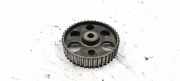 Camshaft Pulley AUDI A4 (8D2, B5) 1.9 TDI 028130111A