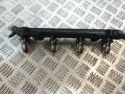 Düsenstöcke Audi A4 (8K, B8) 036031AH