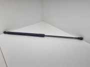Heckklappe Gasdruckfeder rechts NISSAN QASHQAI / QASHQAI +2 I (J10, JJ10) 2.0 dCi 90450 012355