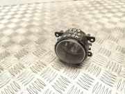 Nebelscheinwerfer links RENAULT MEGANE I Cabriolet (EA0/1_) 1.6 e (EA0F) 89210094