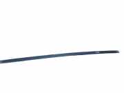 Dachleiste links HYUNDAI ix55 3.0 V6 CRDi 4WD