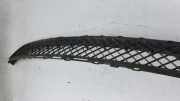 Vorderer oberer Gitter BMW 3 Cabrio (E46) 323 Ci