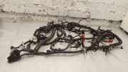 Motor Kabelbaum MERCEDES-BENZ X - Class X 250d 240115XE2C