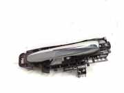 Türaußengriff hinten links