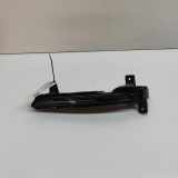 Zusatzlicht vorne links