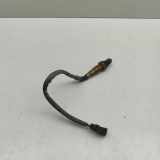 Sauerstoffsensor (Lambdasensor) FIAT TALENTO Furgon (296_) 1.6 D 226A41733R 0281004221