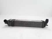 Ladeluftkühler Renault Laguna III (T) 144960001R