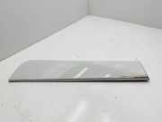 Türleiste hinten links BMW X3 (F25) xDrive 30 d 8050467