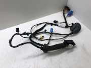 Kabel der vorderen linken Tür VW GOLF VII (5G1, BQ1, BE1, BE2) 1.0 TSI 5G4971161H