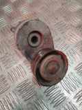 Generatorriemen des Spanners OPEL MERIVA 1.7 CDTI