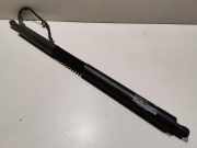 Heckklappe Gasdruckfeder links BMW X3 (G01, F97) xDrive 20 i 178939