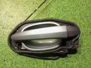 Türaußengriff vorne links