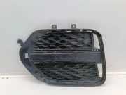 Gitter vorne unten JAGUAR F-TYPE Cabrio (X152) 2.0 i4 HK838B289DA