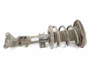 Stoßdämpfer vorne rechts