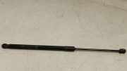 Heckklappe Gasdruckfeder links KIA SPORTAGE V (NQ5) 1.6 T-GDI 81770F1000